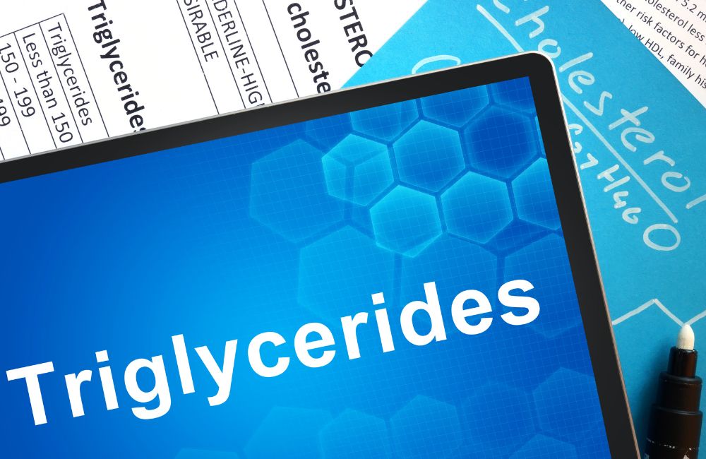 What Are Triglycerides?