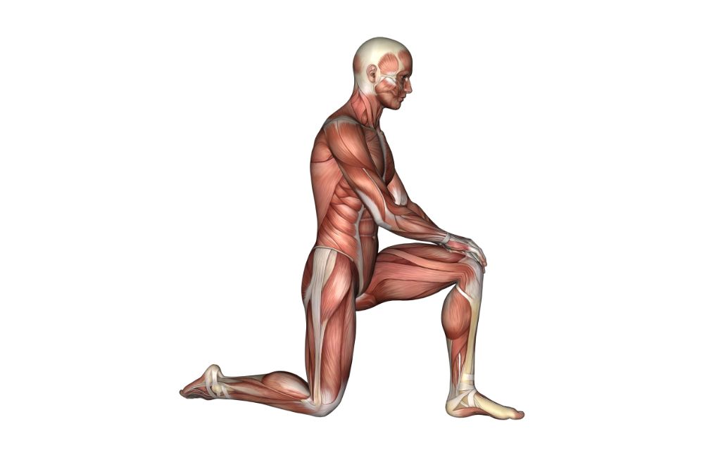 Hip stretches to undo the all day sitting damage