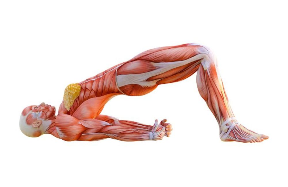 3 best hip strengthening exercises