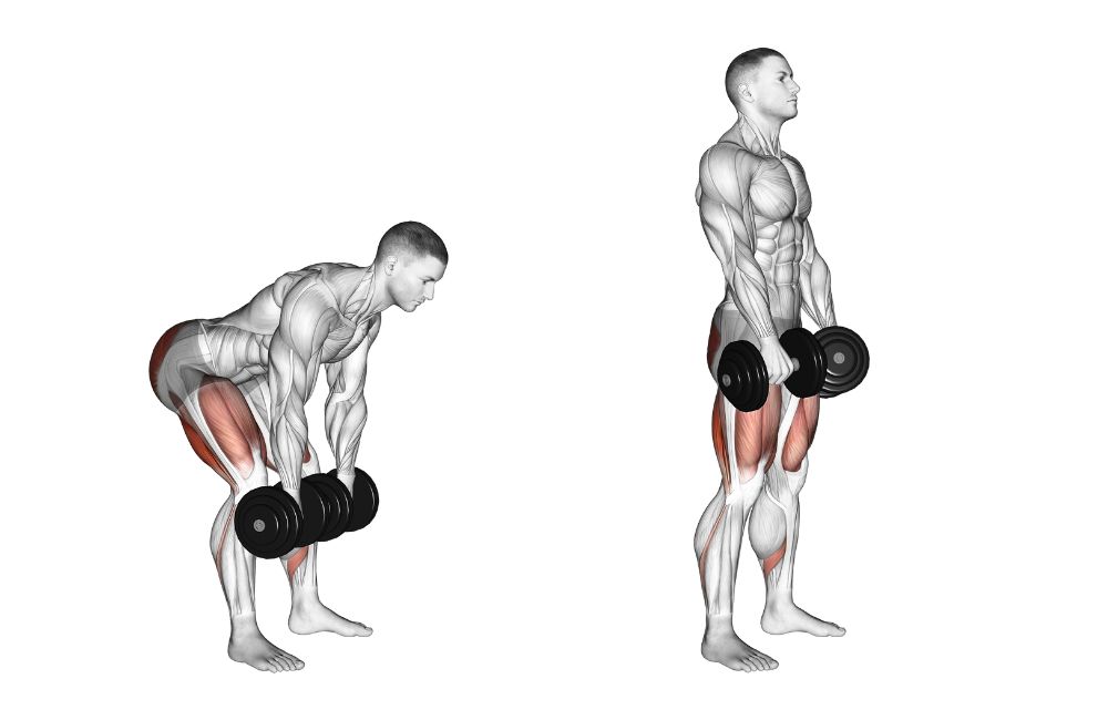 Dumbbell Deadlifts