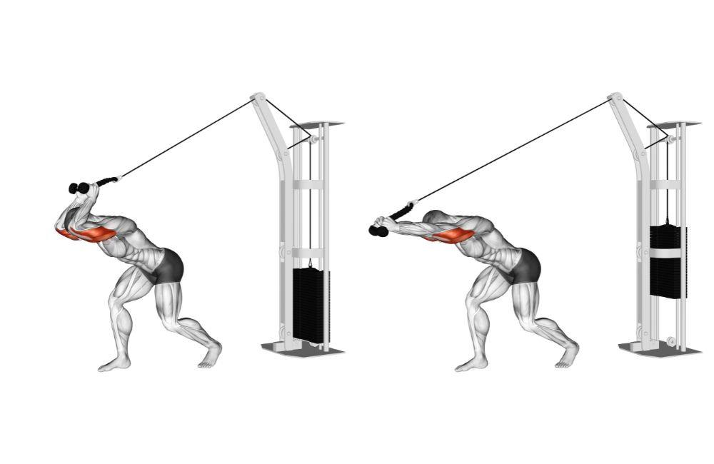 Overhead Cable Tricep Push