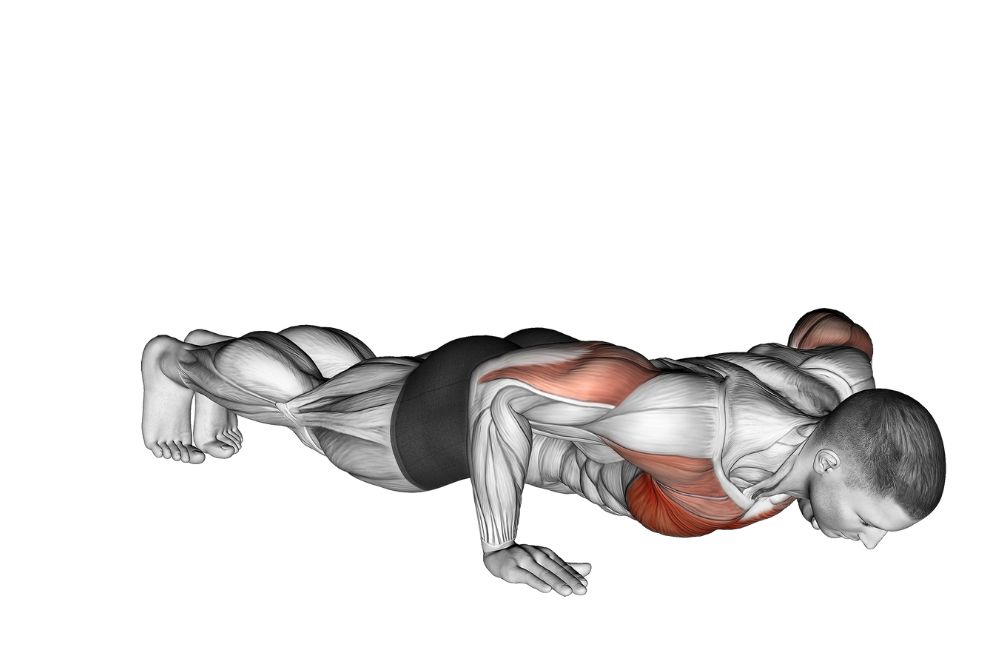 Pushups with Hand Release