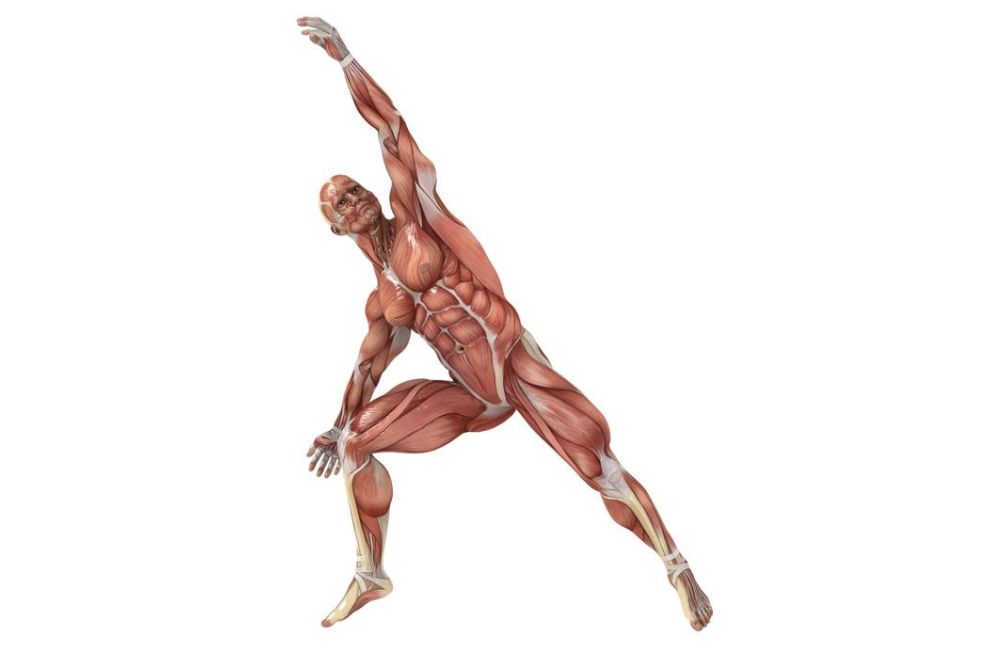 Full body stretch exercise