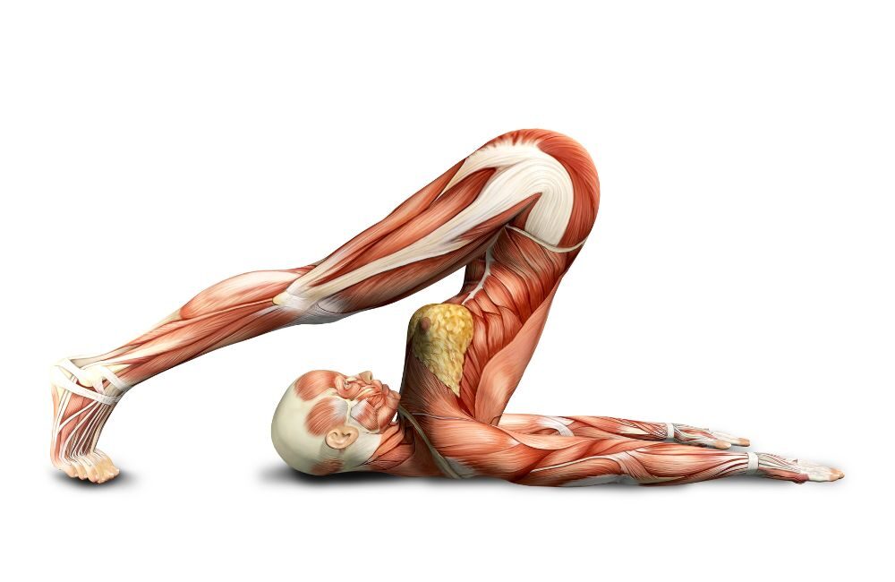 Yoga for Hip Pain: 10 Gentle Yoga Poses to Relieve Hip Muscles - Fitsri