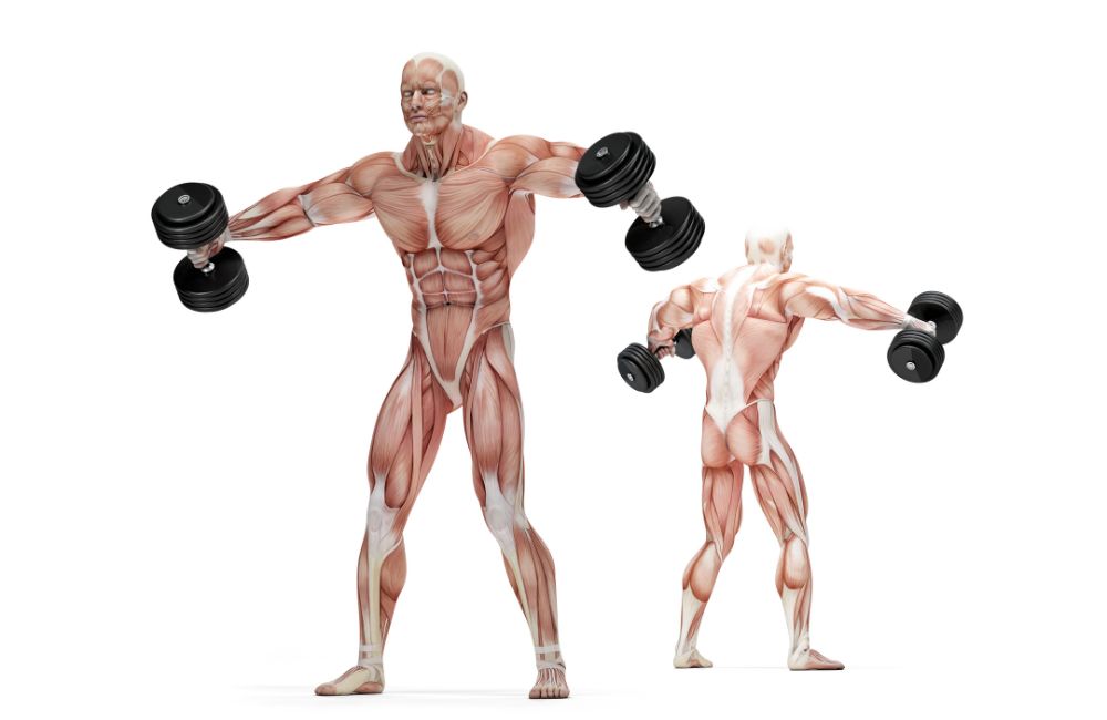 12 Best Shoulder Exercises