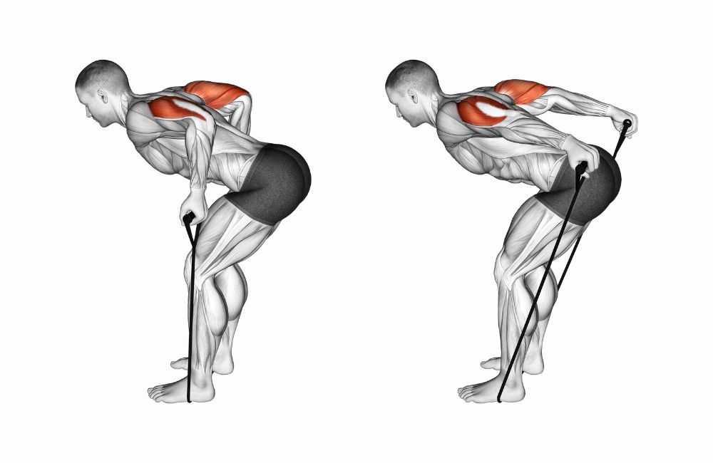 Double Tricep Kickback in Standing