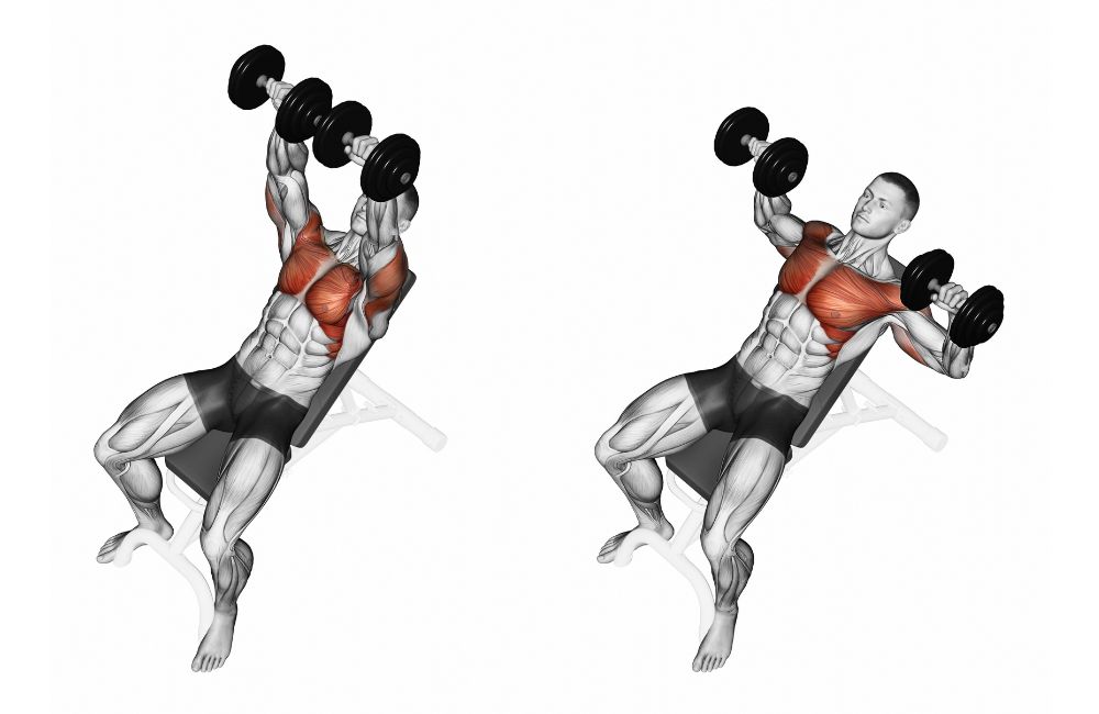 Incline Dumbbell Bench Press