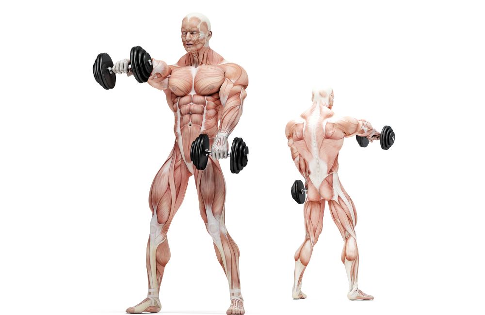 Full-body dumbbell workout routine