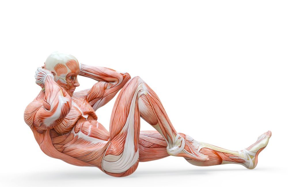 Ab Exercise #1: Supine Bicycle Crunches