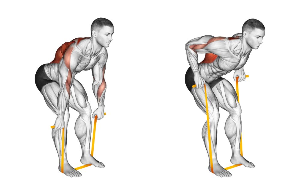 Resistance band bent over row