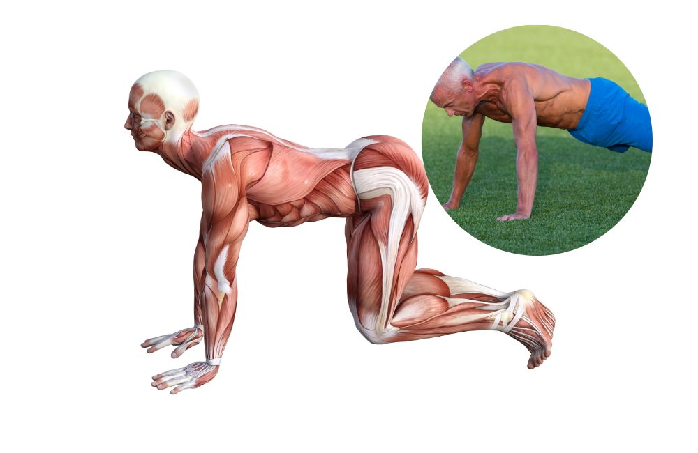 Best core workouts to strengthen your back