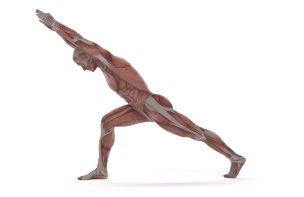 WHAT EXERCISES CAN I DO TO MAKE MY BACK STRONGER visual data 7