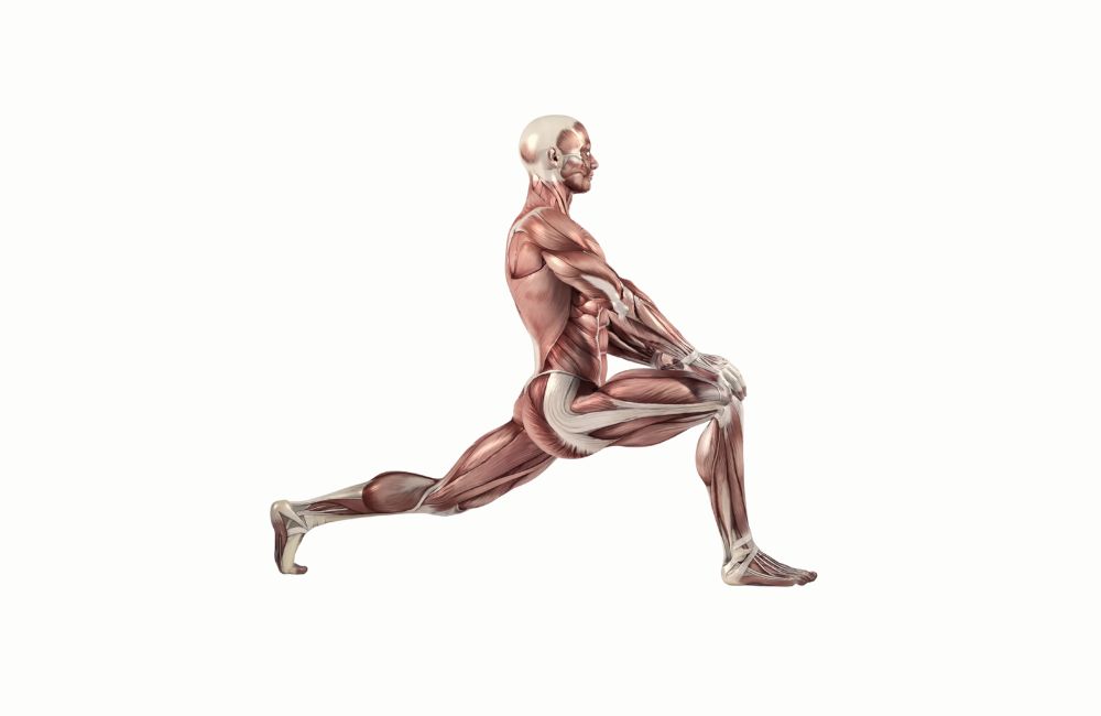 Hip strength and mobility exercises
