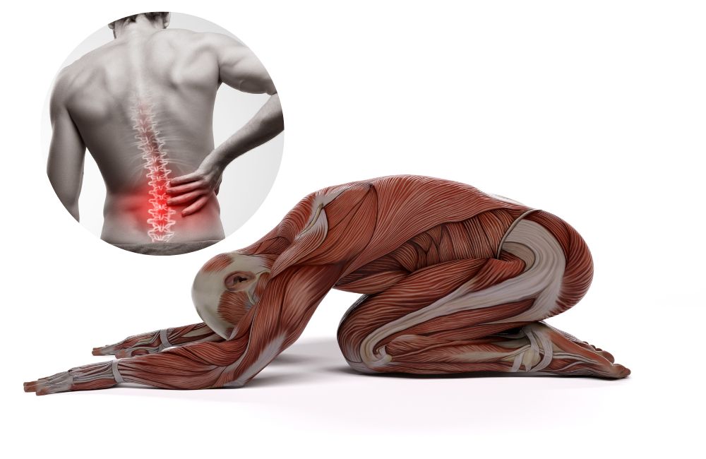 3 Exercises To Relieve Lower Back Pain in 60 Seconds