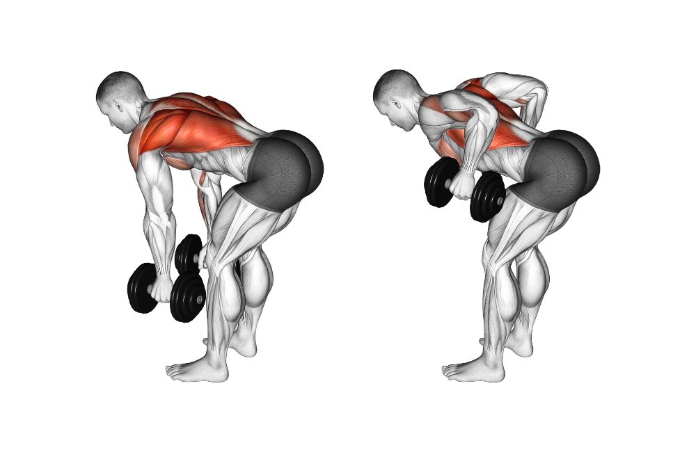 Bent-Over Row