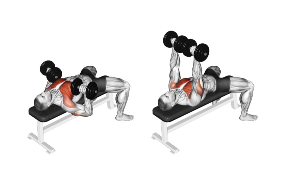 Dumbbell Chest Press