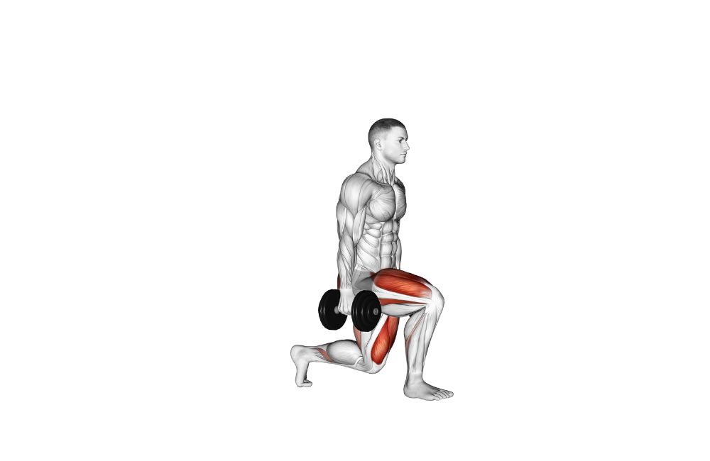 Dumbbell Lunges