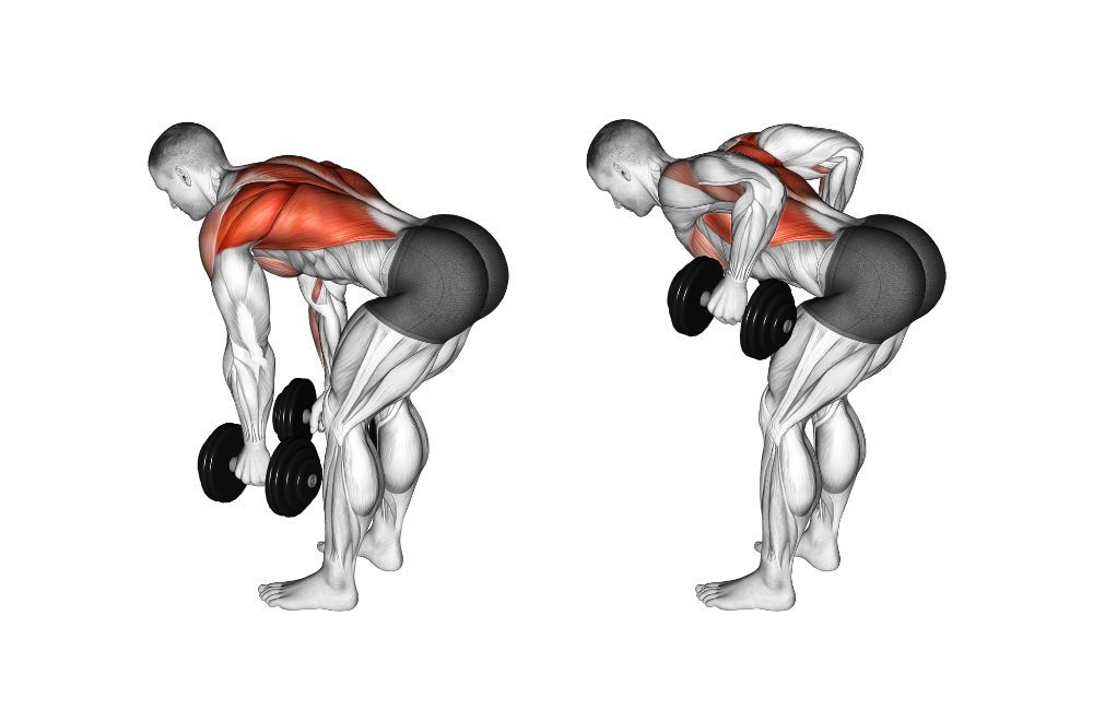 Dumbbell Bent-Over Rows