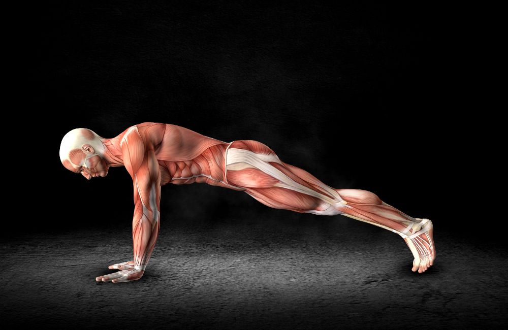 Why Is It Harder for Women Than Men To Do Push-Ups? The Science Behind the  Challenge