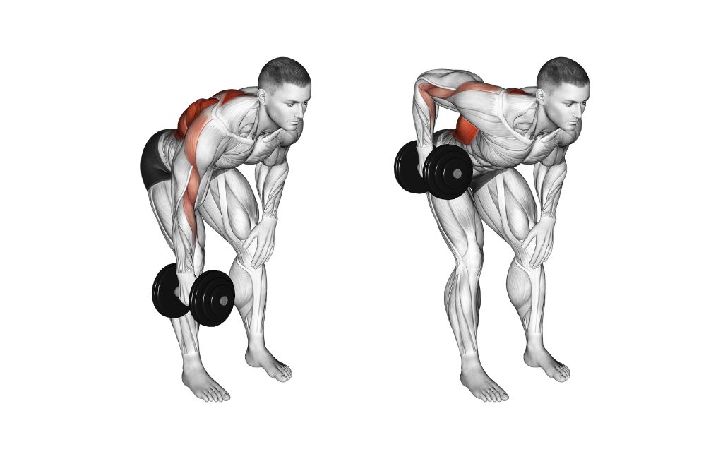 Single-Arm Rows 