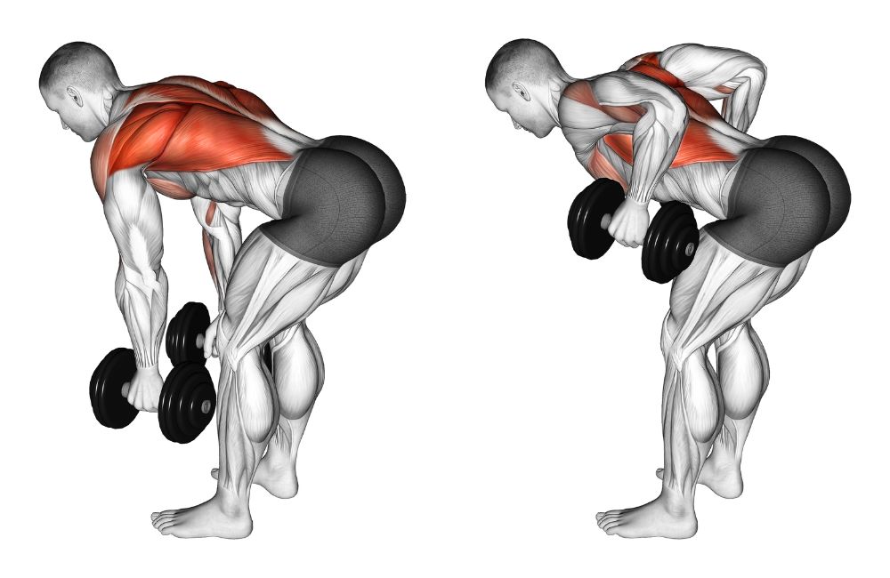 Bent-Over Rows