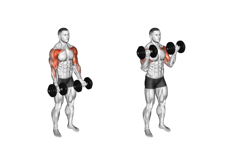Build Muscle All Over in Just 30 Minutes With a Pair of Dumbbells