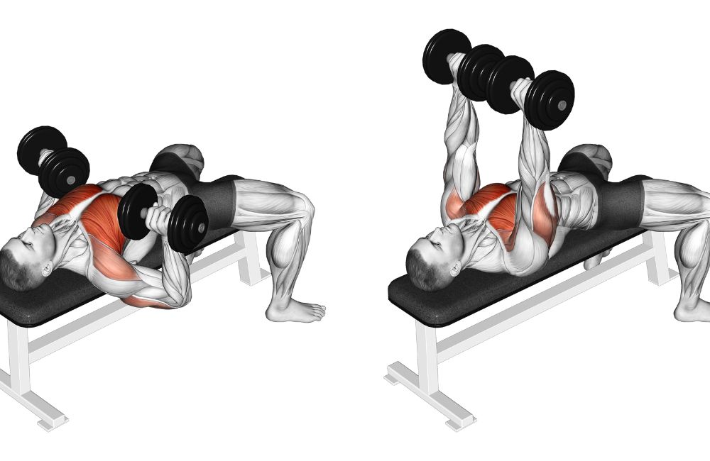 Dumbbell Chest Press