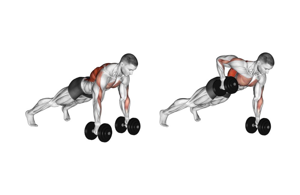 Dumbbell Plank Rows 