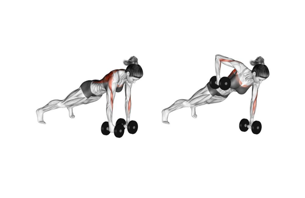 Dumbbell Renegade Rows