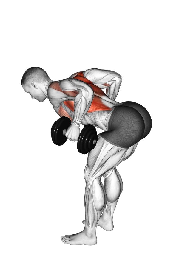 Bent-Over Rows
