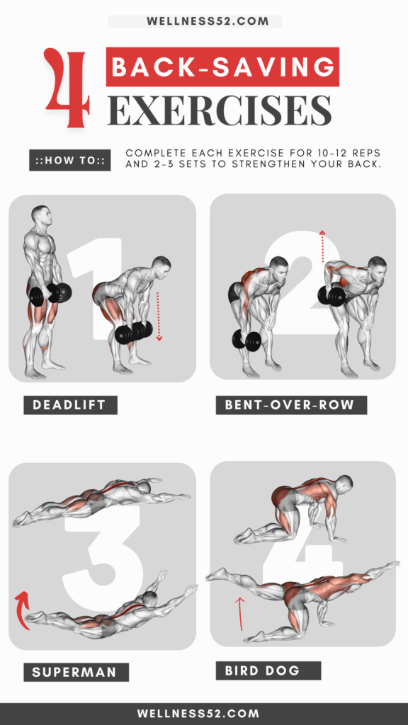 4 Back-Saving Exercises