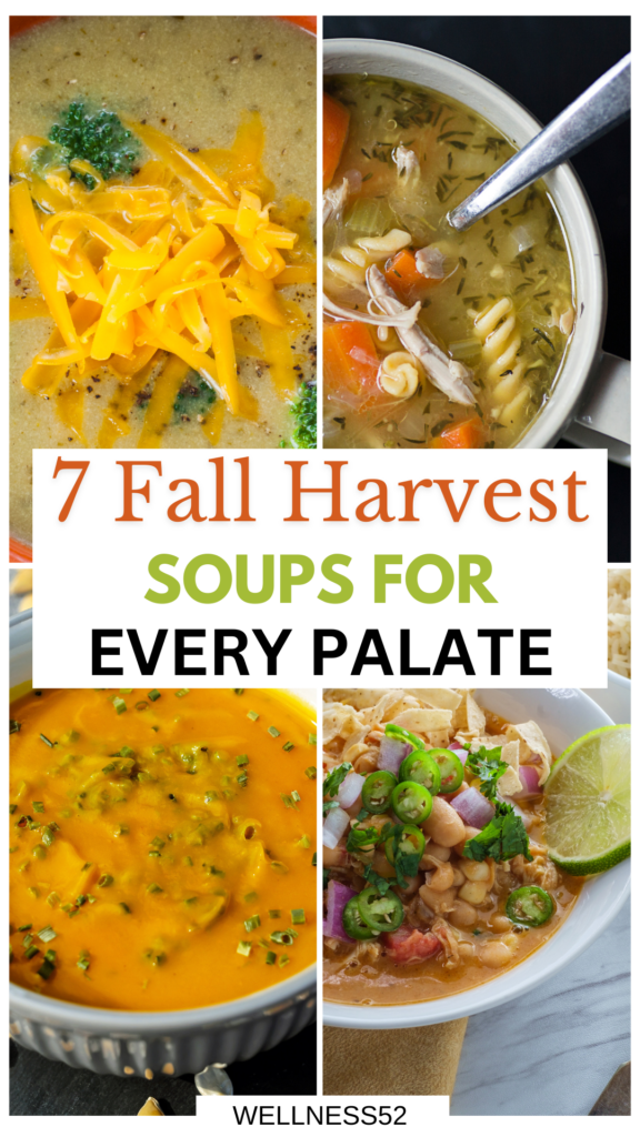 Beyond the Basics: 7 Soups for Every Palate